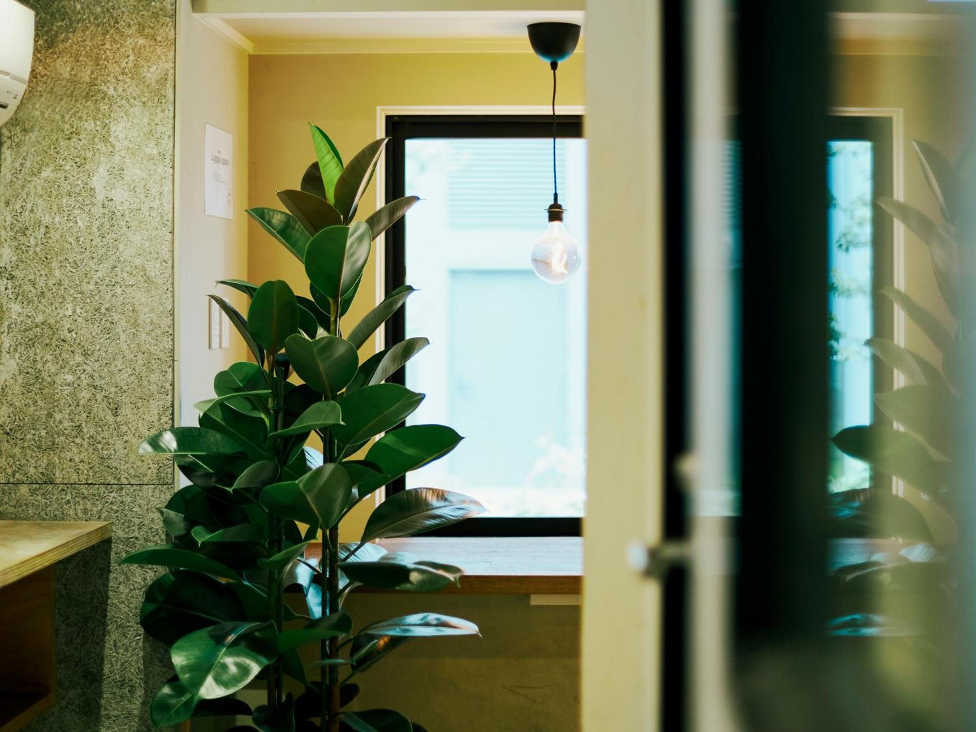 Akasaka Guesthouse Hive Токио Экстерьер фото